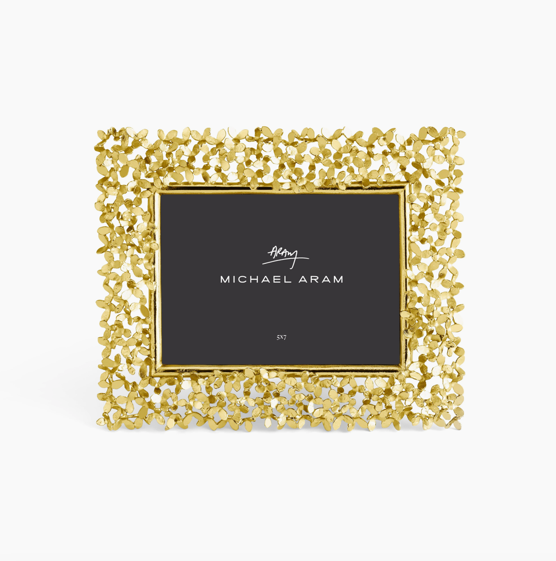 Michael Aram Dandelion Frame