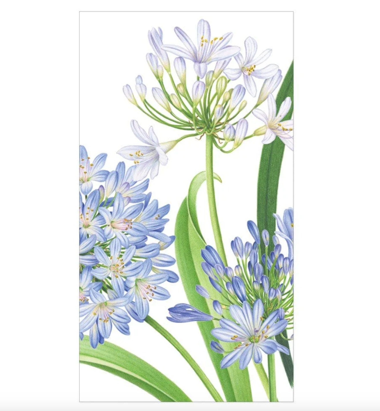 Caspari Agapanthus Garden Paper Guest Towel Napkins - Thumbnail 4