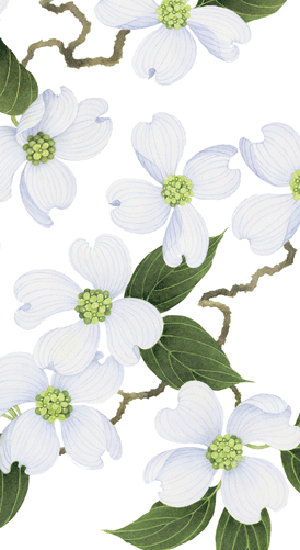 Caspari White Blossom Guest Towel
