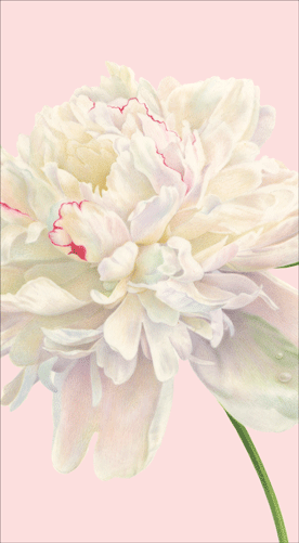 Caspari Duchess Peonies Blush Guest Towel